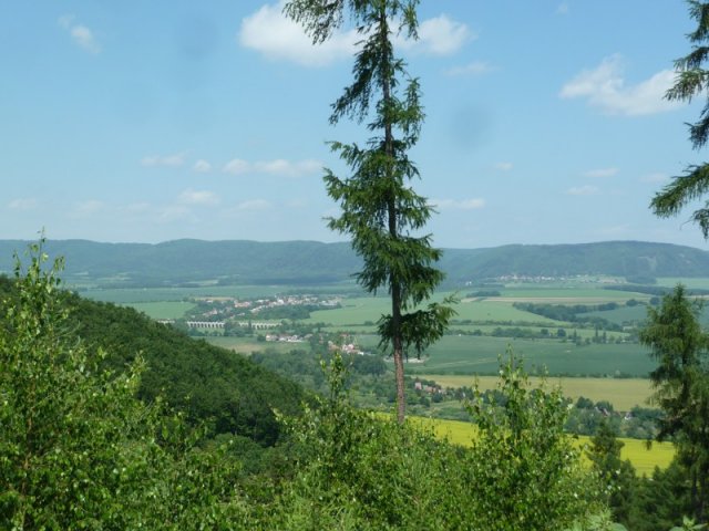 2015
